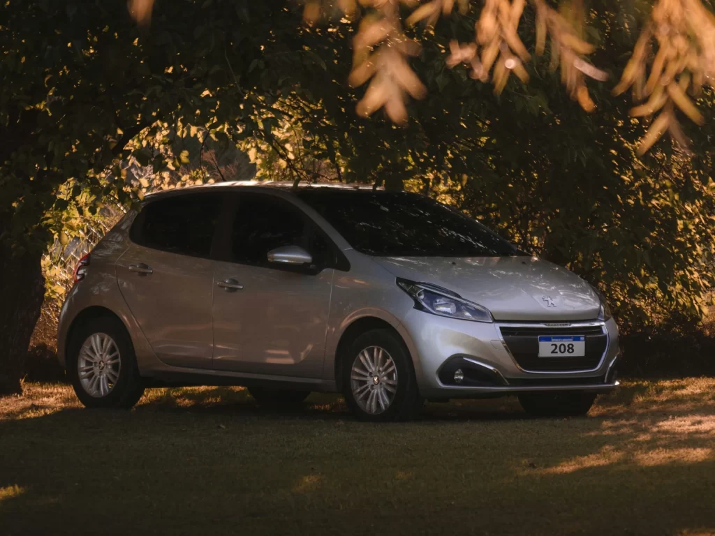 ramiro-pianarosa-hK7Wqgf0kSE-unsplash-edited-scaled